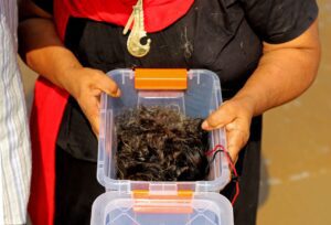 WhatsApp Image 2022 01 25 at 5.15.03 PM 1