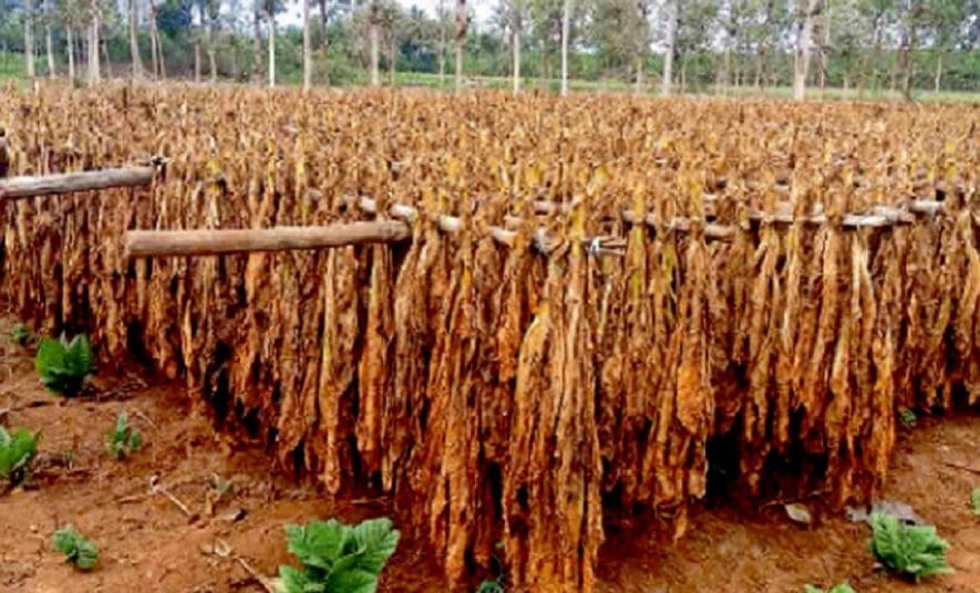 afc7bfa3ffe3a811c10d2a99a13c93fb XL