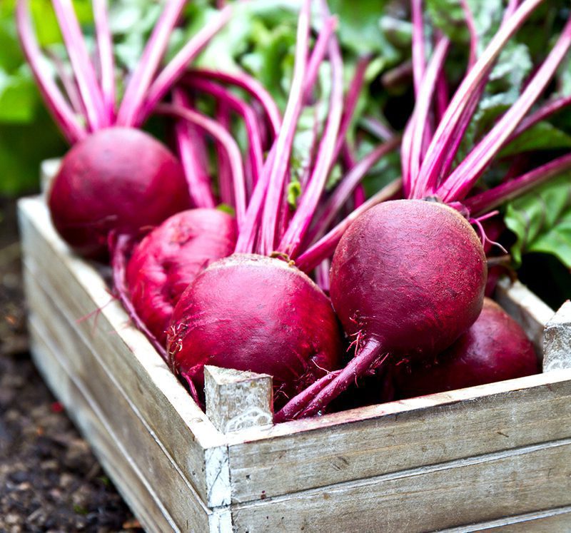 beetroot.jpg 2