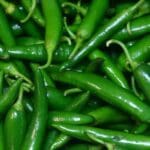 green chilly