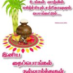 happy pongal