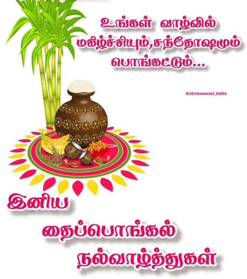 happy pongal