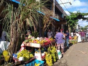 பொங்கலில் ஆர்வம் காட்டாத மக்கள்! 3 jaffna pongal 01