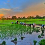 photo 1595974482597 4b8da8879bc5