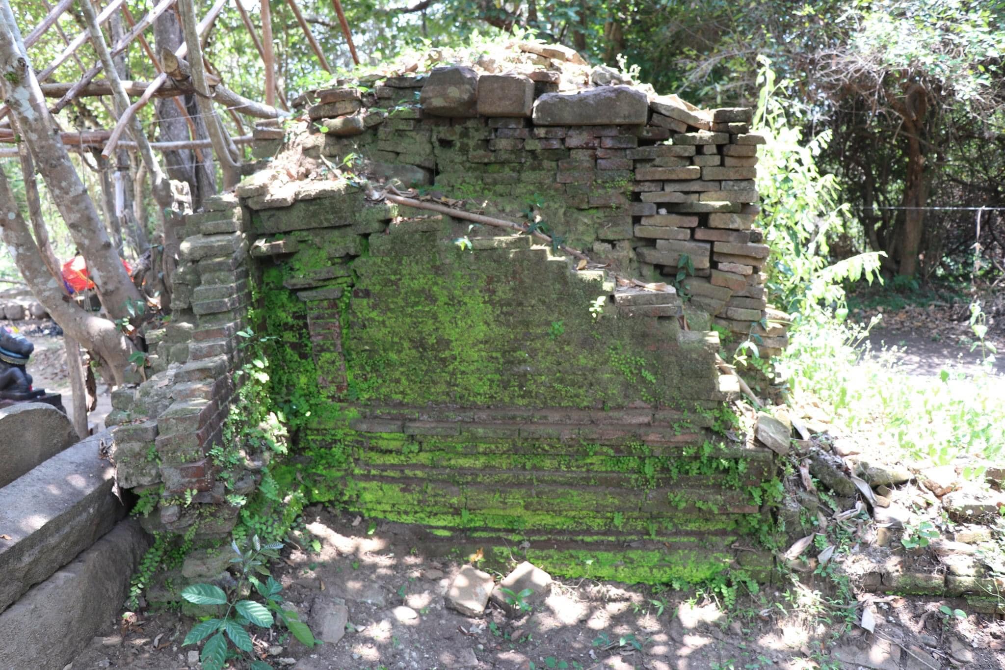 122013629 10158560819949985 1742953884397701204 o