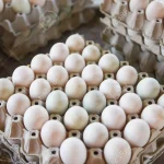 140088770 fresh eggs white duck egg box produce eggs fresh from the farm organic