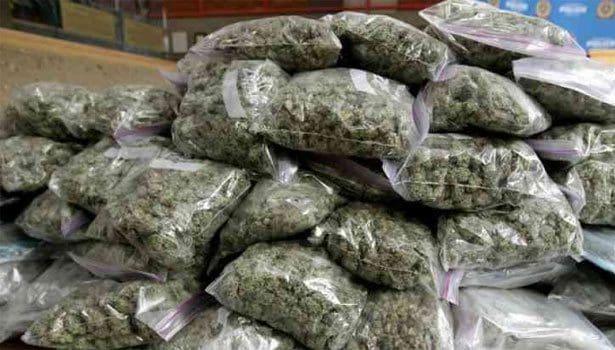 202111081443117935 Tamil News Police seize 200 kg of ganja in Jharkhand SECVPF