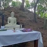 272280432 2059127137602789 91772965116249143 n