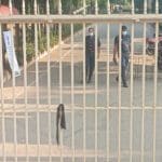 272907593 2060339424148227 696361987289829513 n