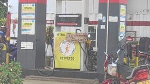 274680988 1607518982946617 8430004957042804874 n