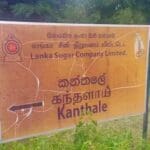 80236785 2441886386063430 7270464829863755776 n