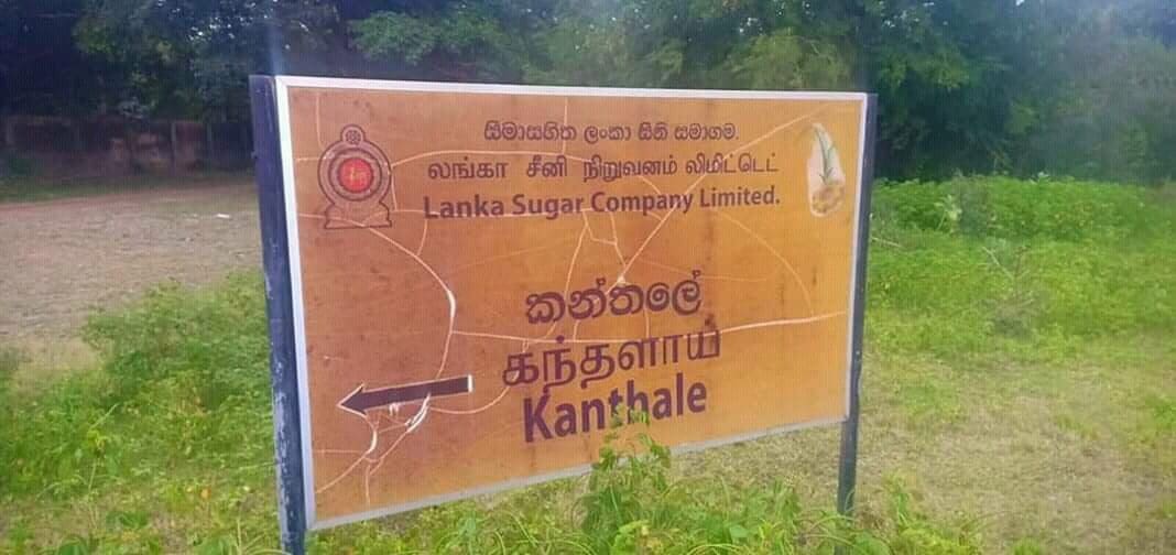 80236785 2441886386063430 7270464829863755776 n