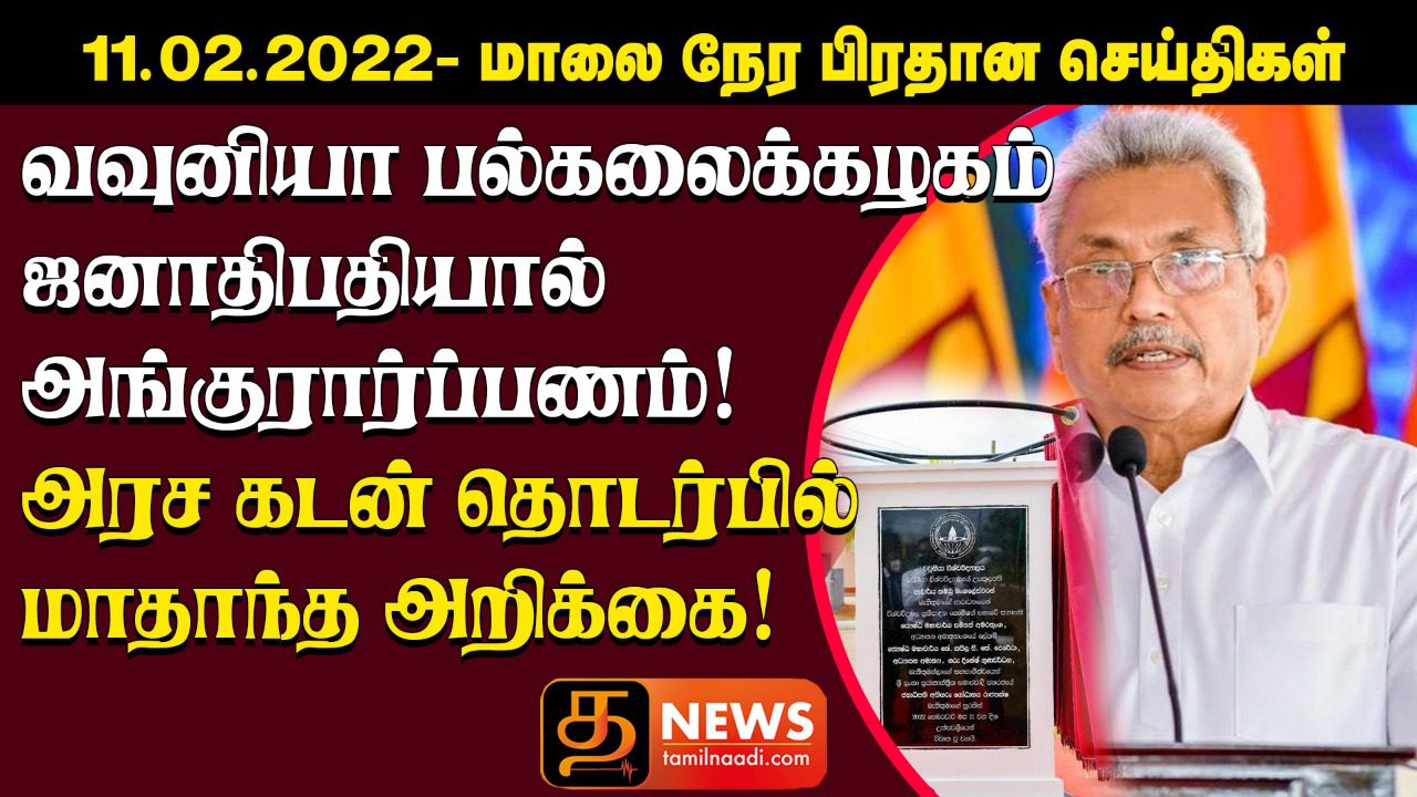 WhatsApp Image 2022 02 11 at 4.31.41 PM