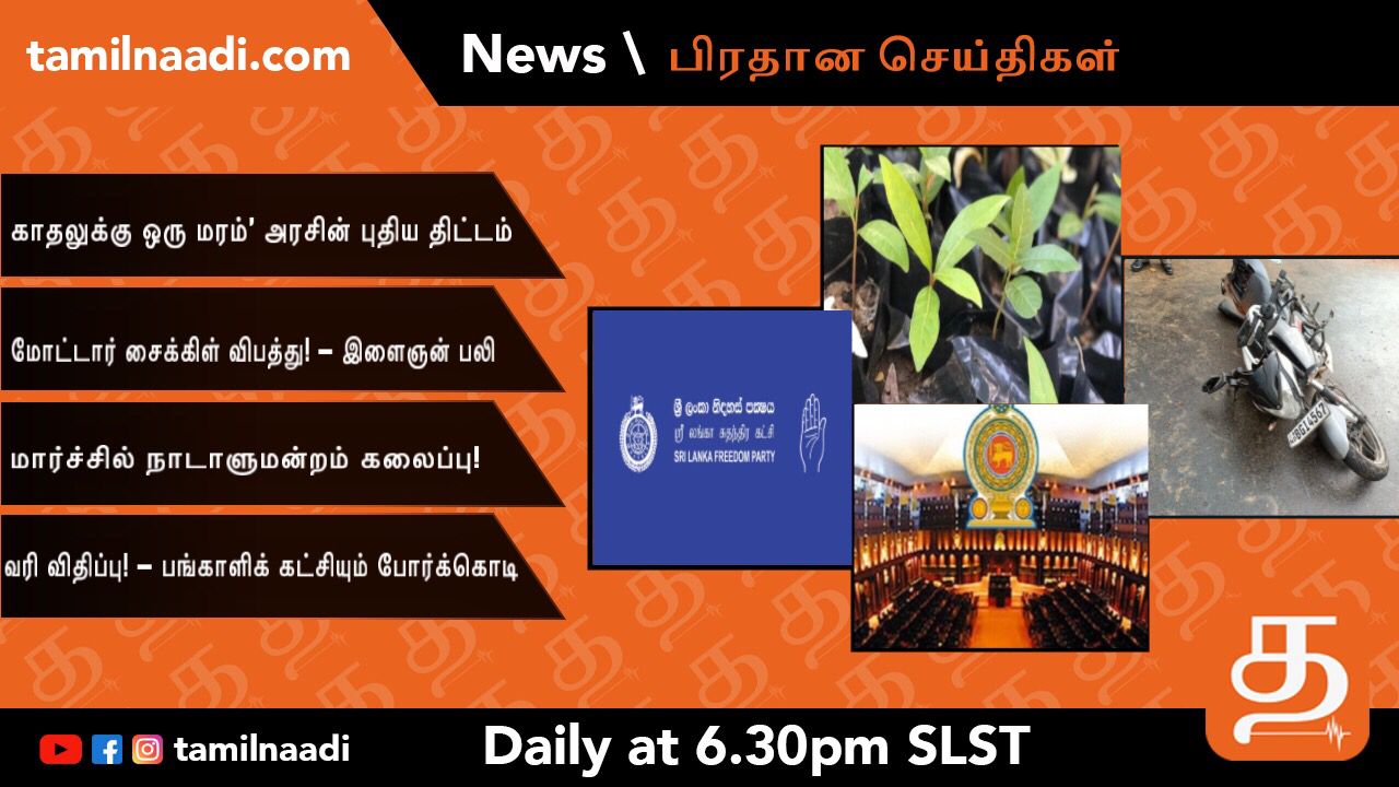 WhatsApp Image 2022 02 12 at 6.58.13 PM