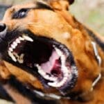 ff2d6c4b0b1e3a15cc0b7cb358c36b7b