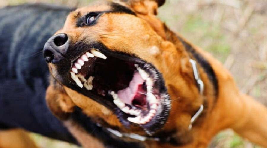 ff2d6c4b0b1e3a15cc0b7cb358c36b7b