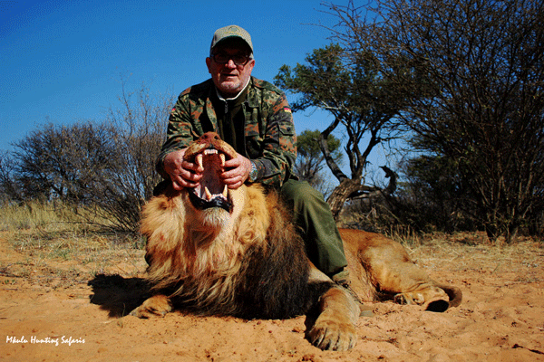 lion hunting prices south africa