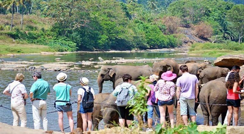 இலங்கைக்குப் படையெடுக்கும் சுற்றுலாப் பயணிகள்