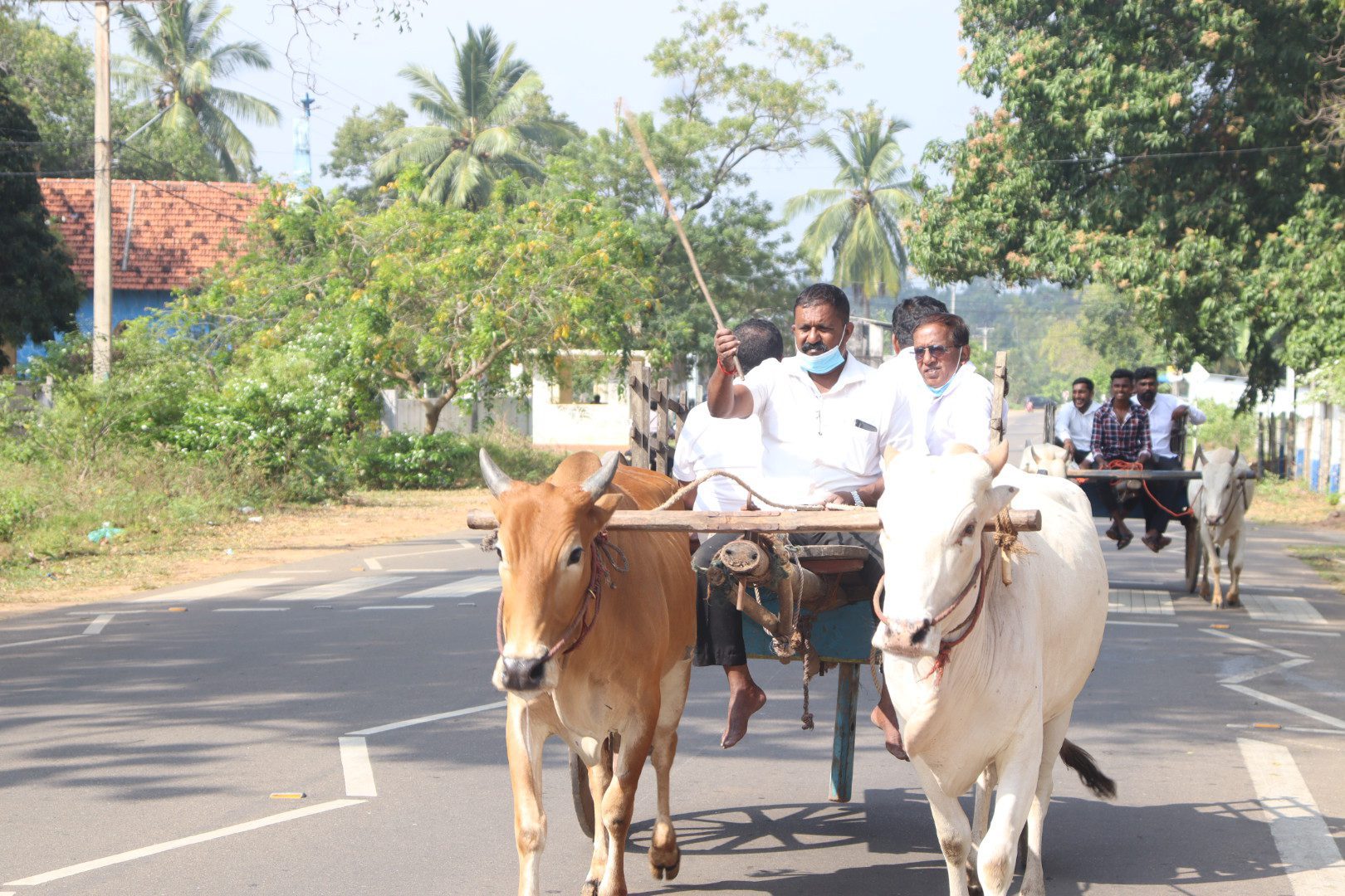 20210408223120 IMG 4885 1