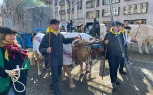 274819451 10228715919586061 7733681446733474047 n