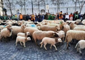 274854464 10228715919986071 5819905963243451819 n