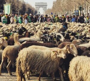 274860753 10228715918226027 7682719658144469750 n 1