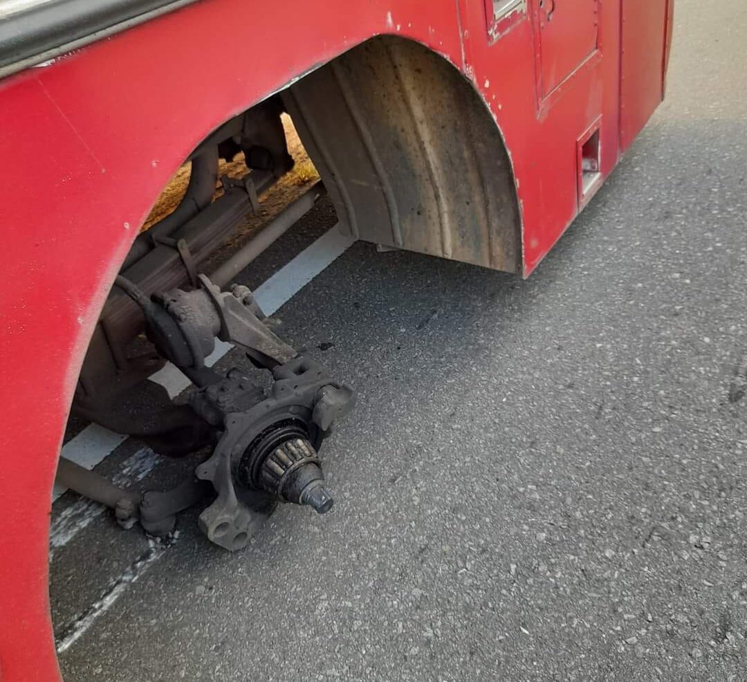 274924086 365549452088199 7318729032227309959 n e1646709170298