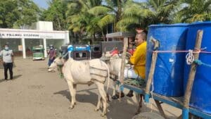 மாட்டு வண்டிக்கு டீசல்!! 9 275068782 515453613269825 6152222954980680283 n