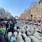 275210064 10228715919106049 9142978012090996253 n