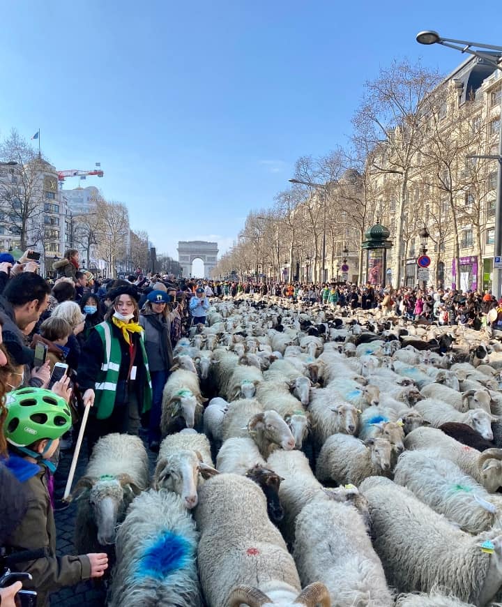 275210064 10228715919106049 9142978012090996253 n