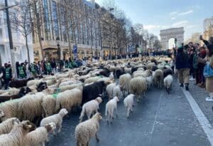 275240229 10228715918626037 37163952189995958 n