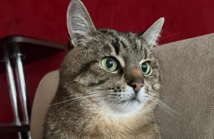 275297579 10228790401608065 8120308010169124370 n