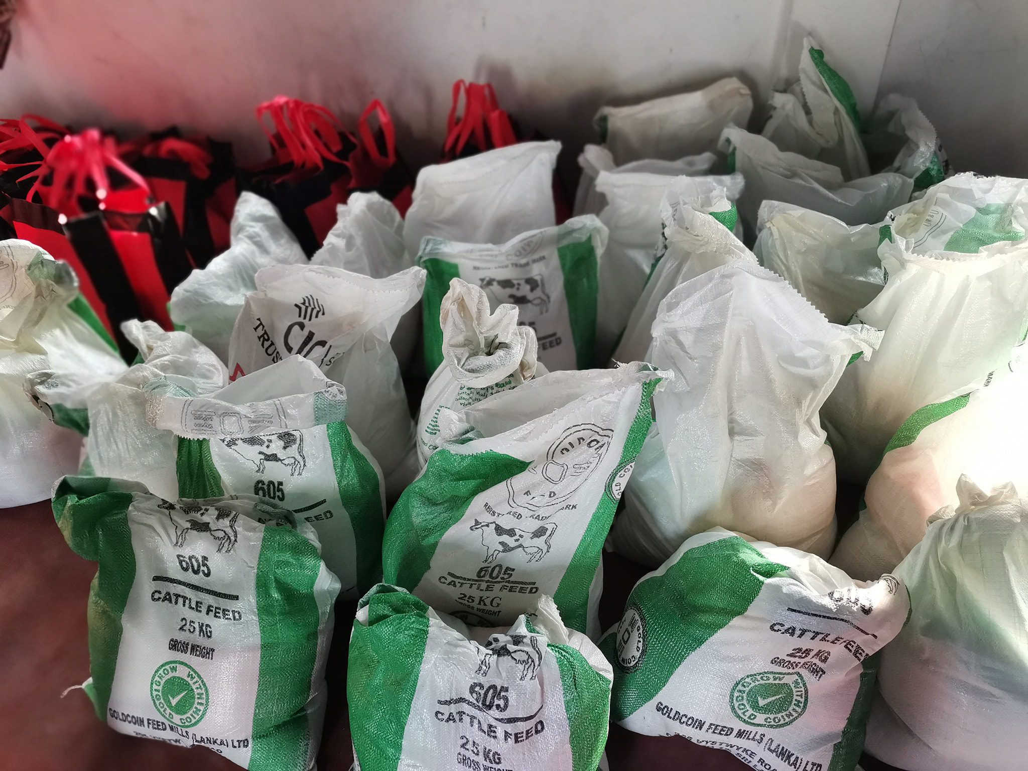 275431506 103230702322530 2787066283092049317 n