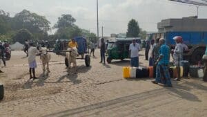 275440302 1328450757624031 4225450559824236524 n