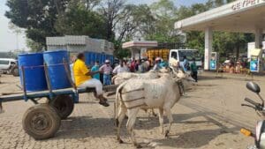 275611648 1328450697624037 6397791779408698192 n