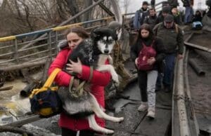 276140201 10228790401928073 1872474820165341042 n