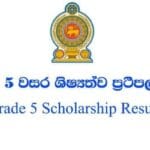 Grade.5.Scholarship.Results