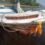 IMG 20220311 WA0010 1