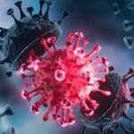 Tamil News large 2791245