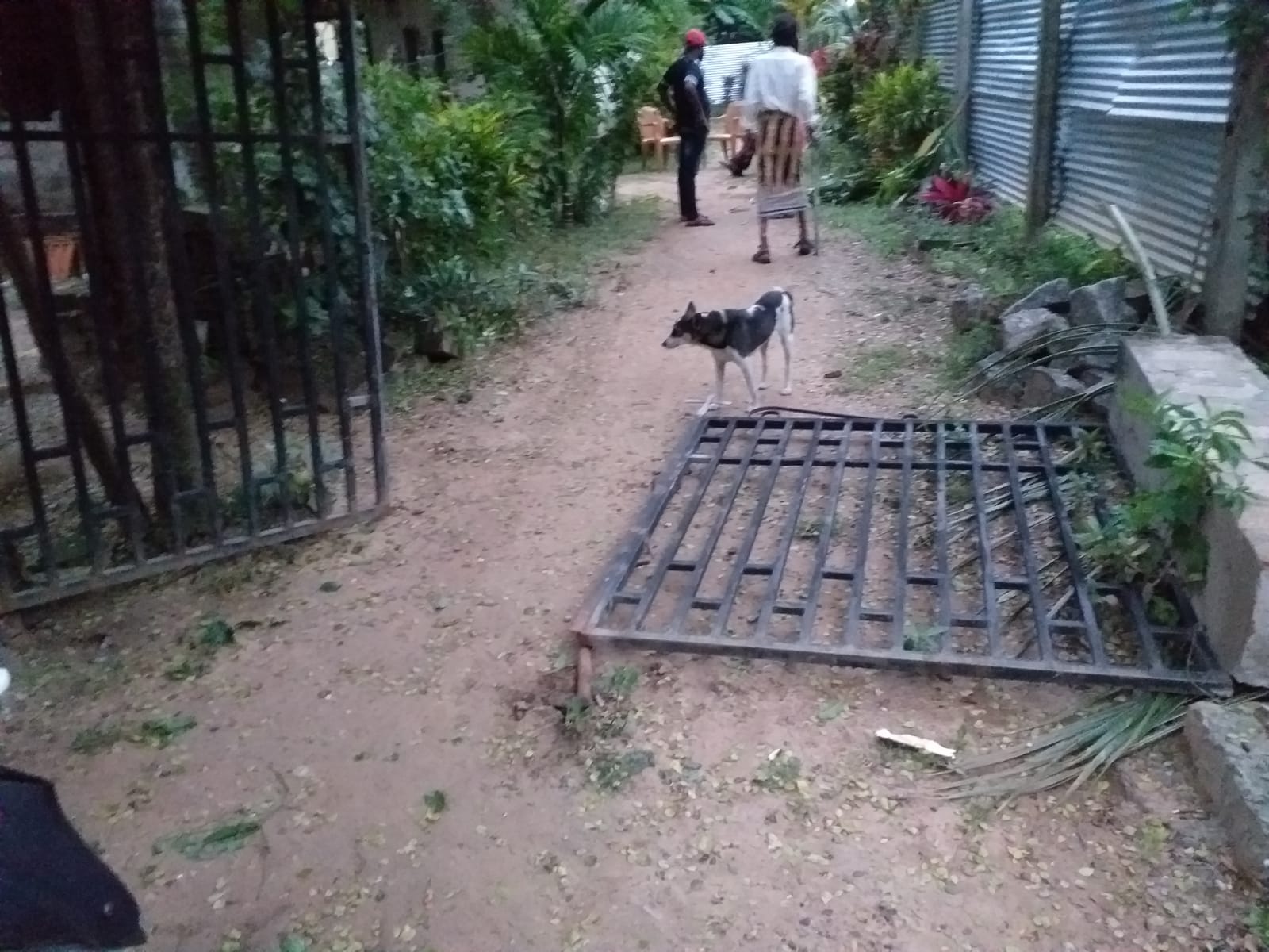 WhatsApp Image 2022 03 06 at 6.49.40 PM