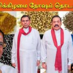 WhatsApp Image 2022 03 12 at 1.49.11 AM