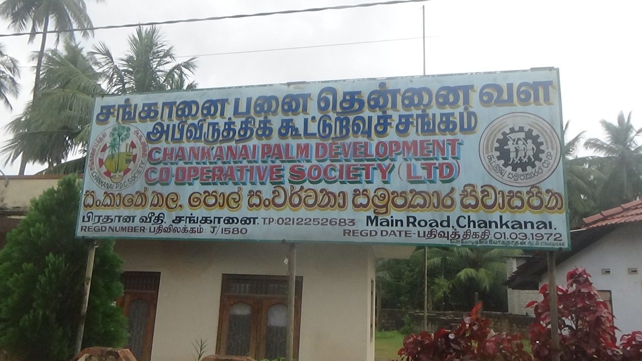 WhatsApp Image 2022 03 24 at 10.22.50 AM