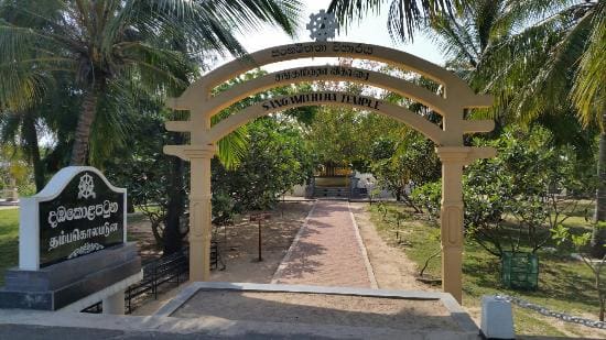 bzFvaatJ7ZokoZbe dambakola patuna sangamitta 3