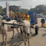 c6658ffb b311 4ea3 a621 dd5f8f4158e7