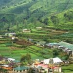 sri lanka ceylon tea plantation workers village