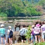 இலங்கைக்குப் படையெடுக்கும் சுற்றுலாப் பயணிகள்