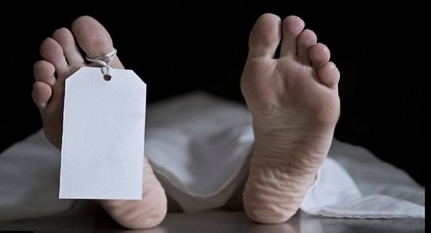 சடலங்கள் மீட்பு