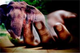 யானை தாக்கி விவசாயி