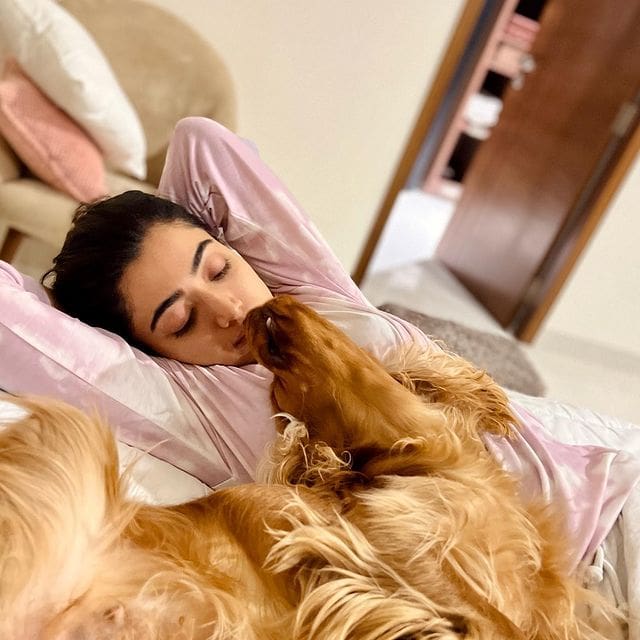 274865611 453872549855777 3313670679106005786 n