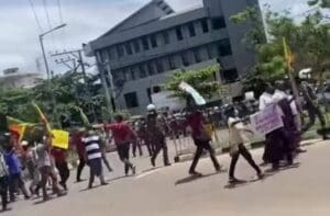 277803817 747762636607143 2291698090905566291 n